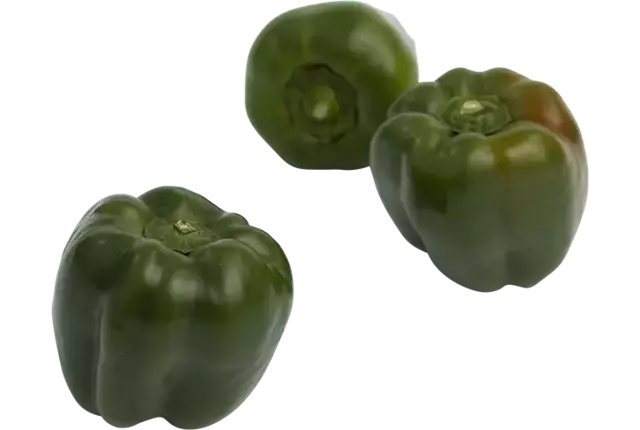 Poivron vert classe 2 caisse 10kg